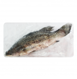 barra whole 550/750 green 10kg